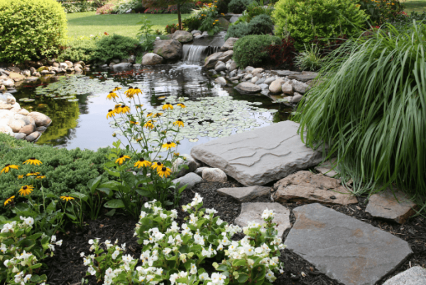 Landscaping Elements to Know: Show your Home that Represents You