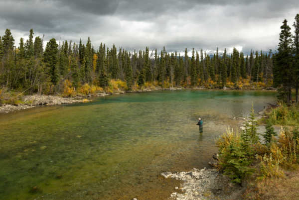 Fall Fishing Adventures: Tips and Advice for the Season