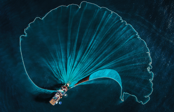 Person using fishing net in the ocean at a top view