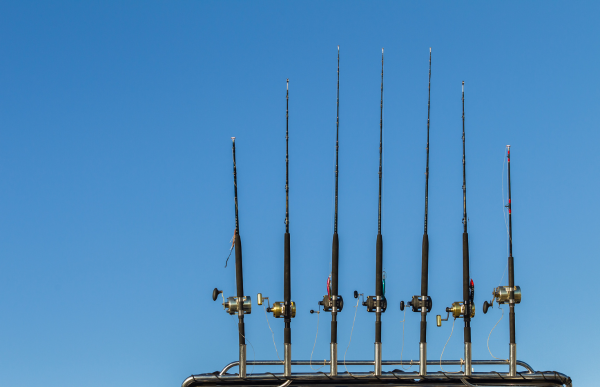 Fishing poles lay upwards